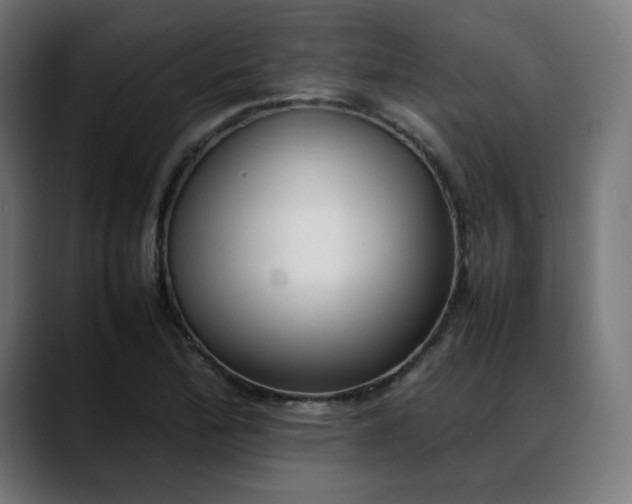 X0000088051172200705251316