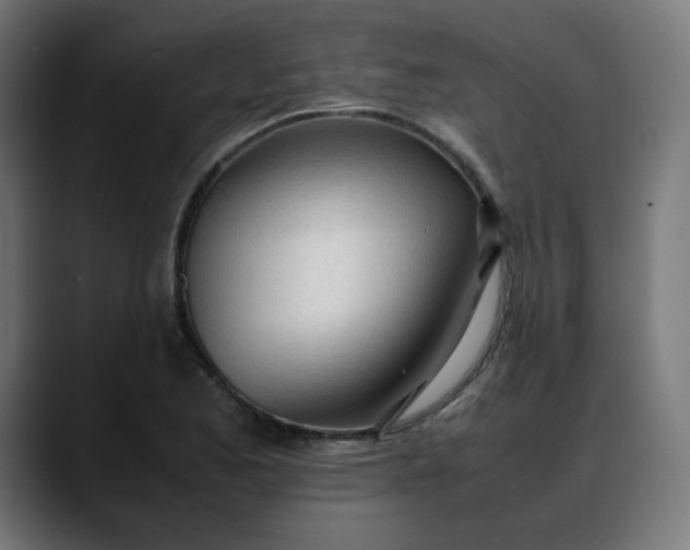 X0000088051173200705251316
