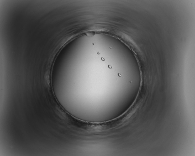 X0000088051177200705251316