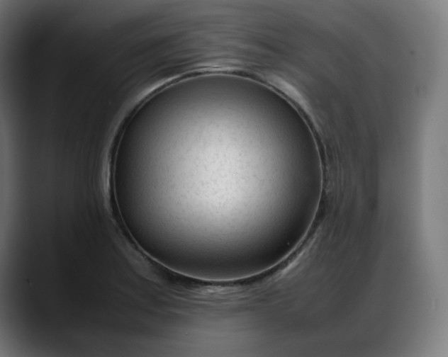 X0000088051179200705251316