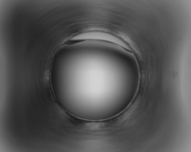 X0000088051185200705251316