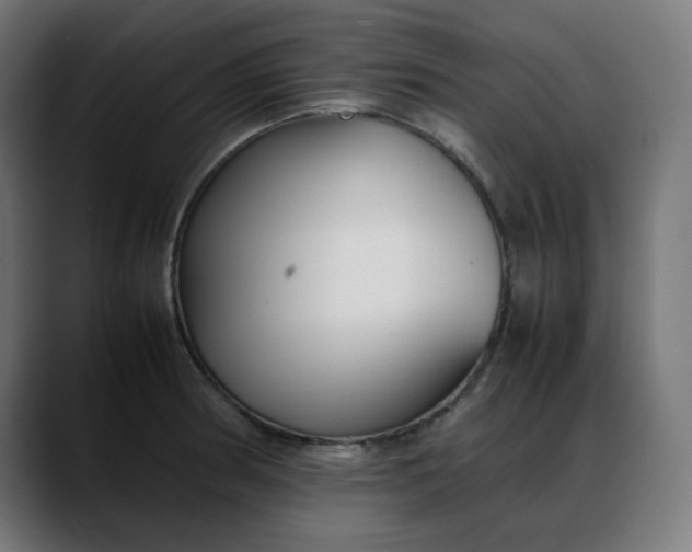 X0000088051186200705251316