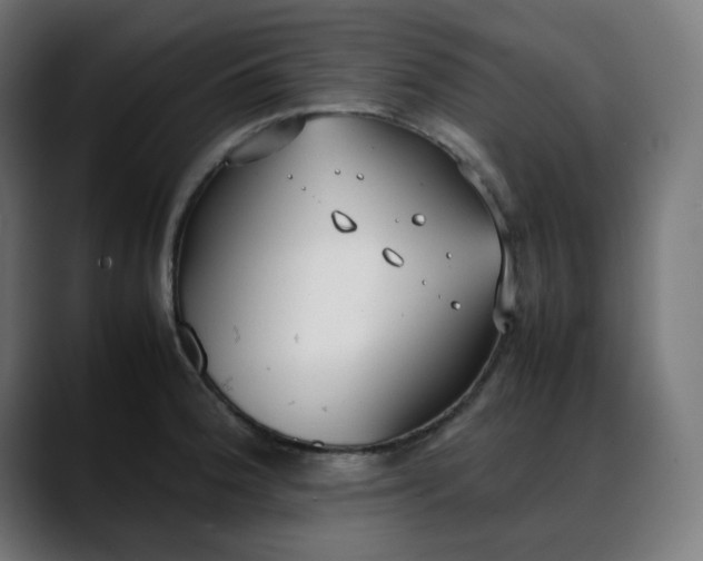X0000088051188200705251316