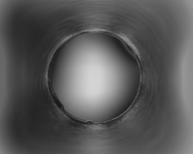 X0000088051189200705251316