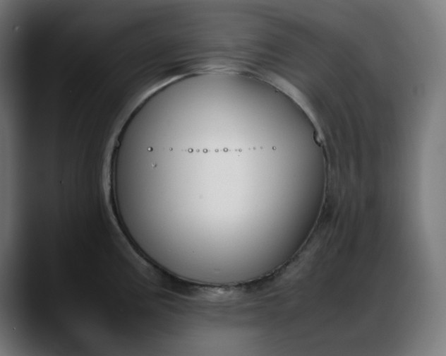 X0000088051195200705251316