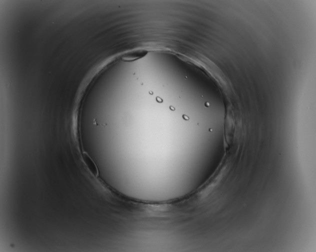 X0000088051196200705251316