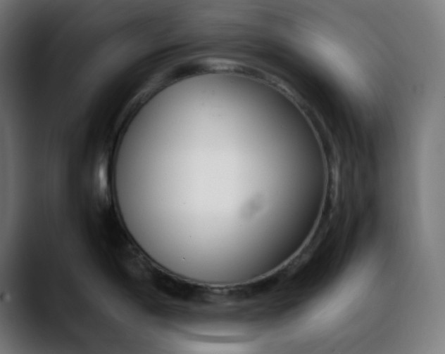 X0000088051198200705251316