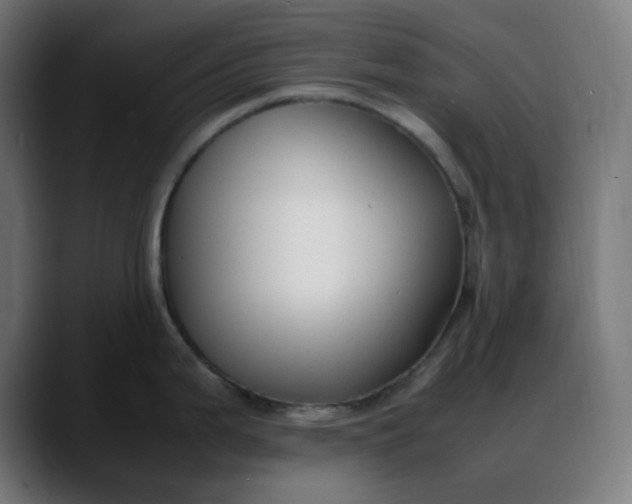 X0000088051199200705251316