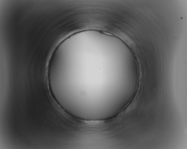 X0000088051200200705251316