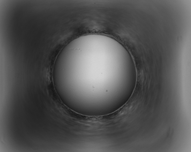 X0000088051205200705251315