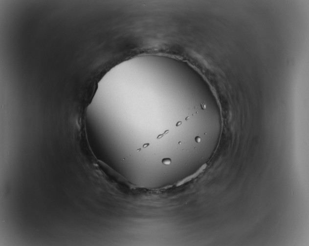 X0000088051206200705251315