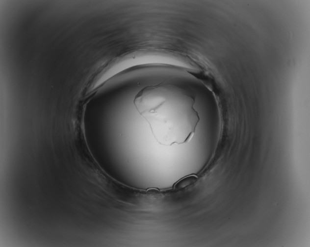 X0000088051210200705251315