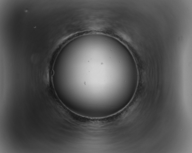 X0000088051214200705251315