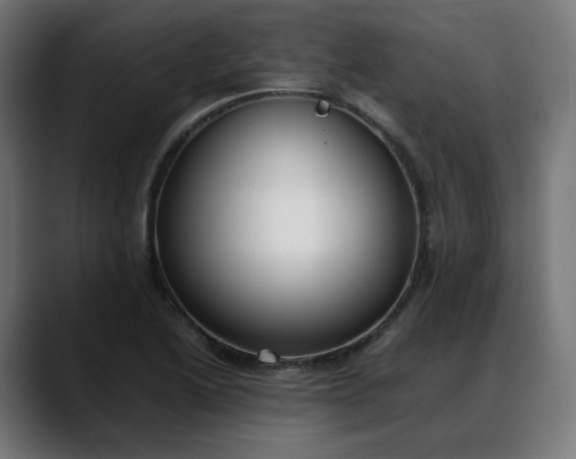 X0000088051222200705251315