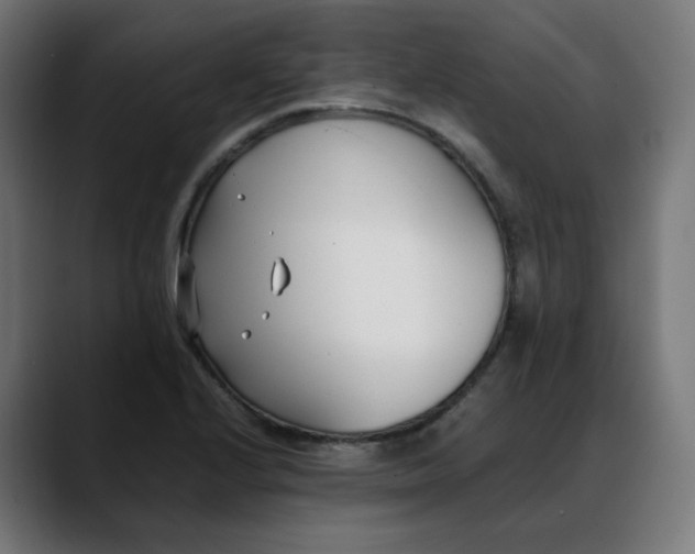 X0000088051224200705251315