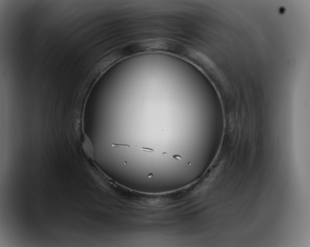 X0000088051225200705251315