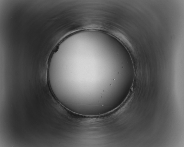 X0000088051228200705251315