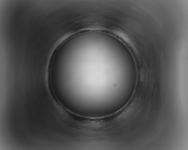 X0000088051229200705251315