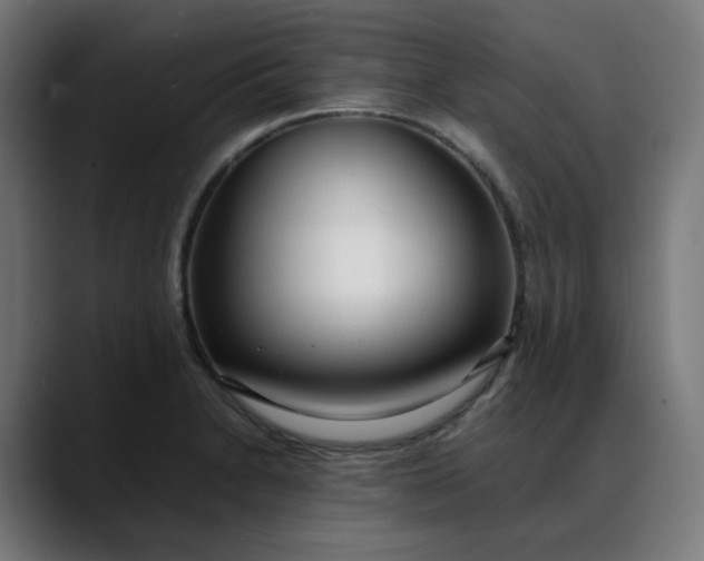 X0000088051230200705251315