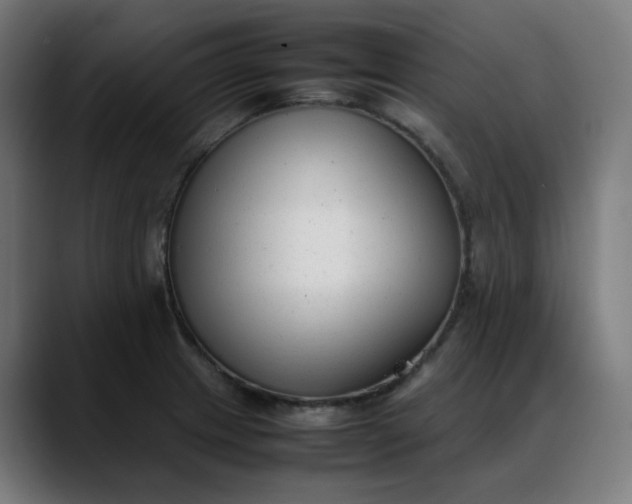 X0000088051233200705251315