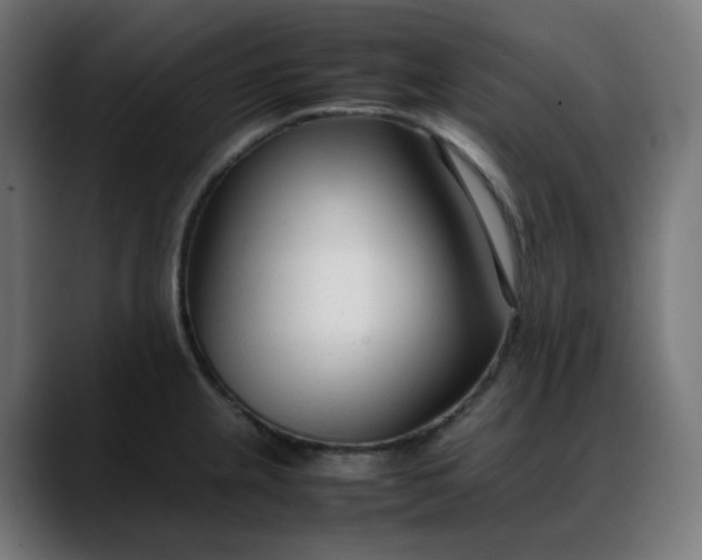 X0000088051237200705251315