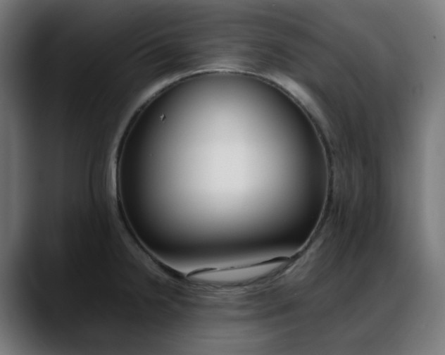 X0000088051238200705251315