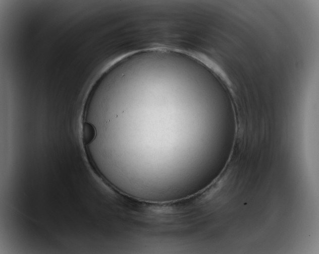 X0000088051239200705251315