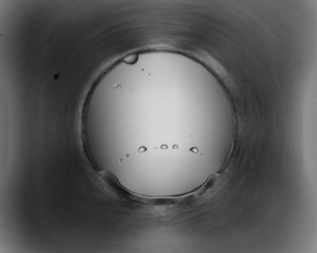 X0000088051240200705251315