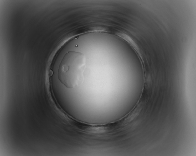 X0000088051243200705251315