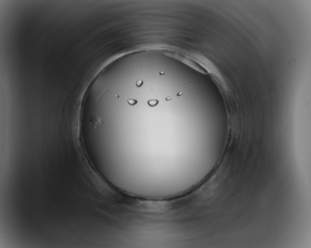 X0000088051244200705251315
