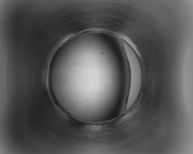 X0000088051245200705251316