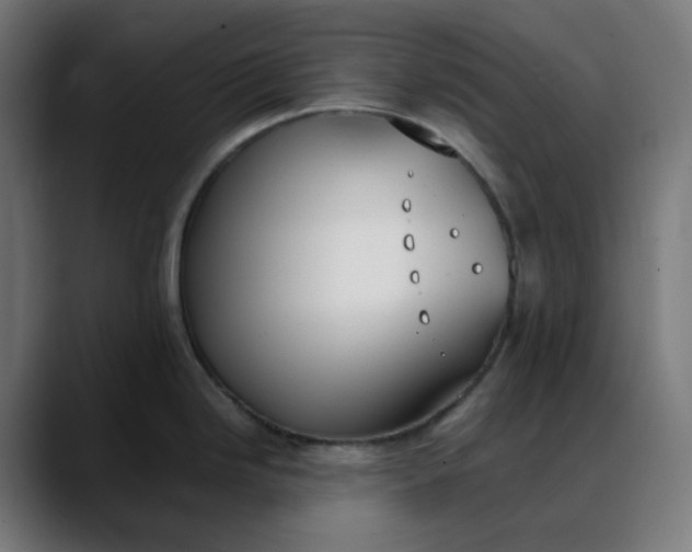 X0000088051246200705251316