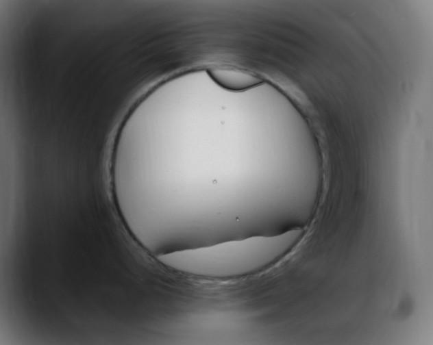 X0000088051248200705251316