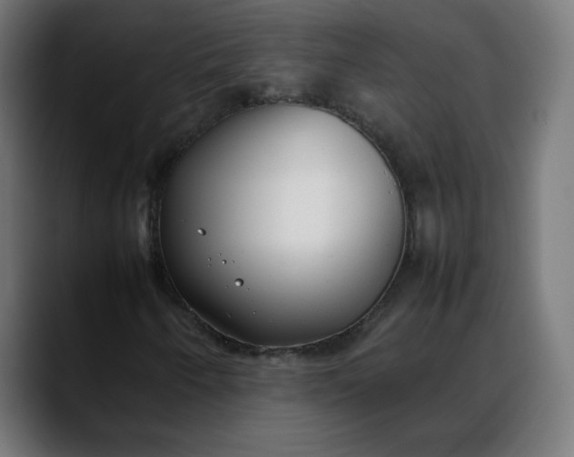 X0000088051250200705251315