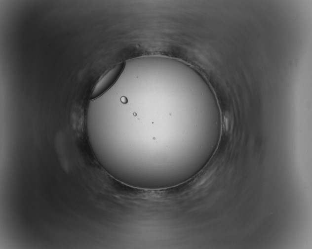X0000088051251200705251315