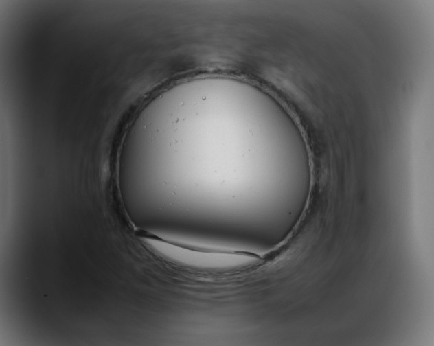 X0000088051261200705251315