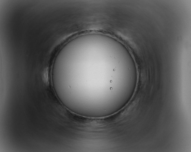 X0000088051262200705251315