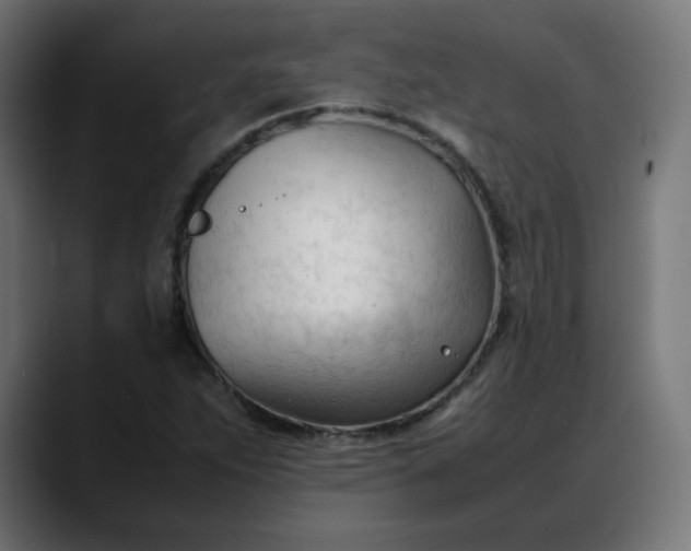 X0000088051263200705251315