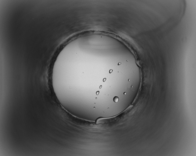 X0000088051264200705251315