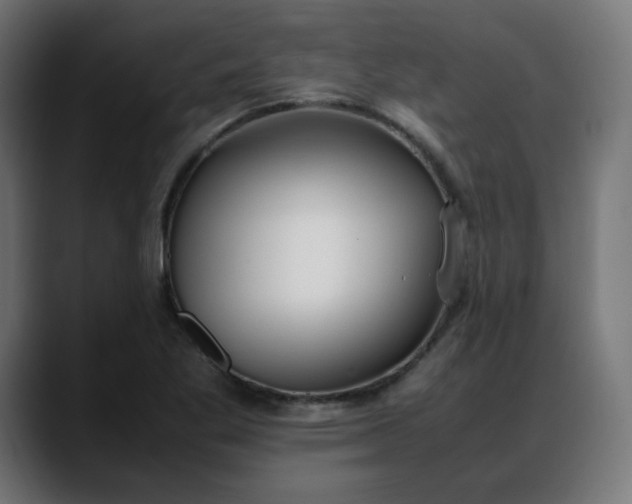 X0000088051269200705251315