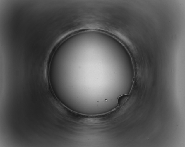 X0000088051272200705251315