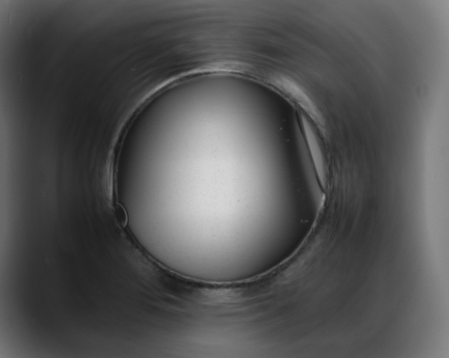 X0000088051276200705251315