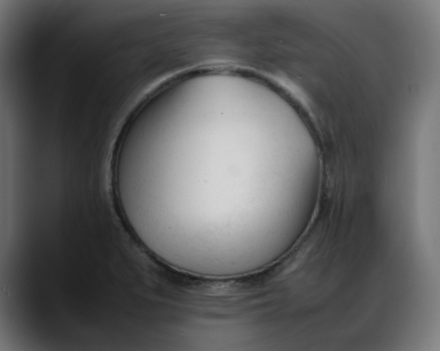 X0000088051279200705251315