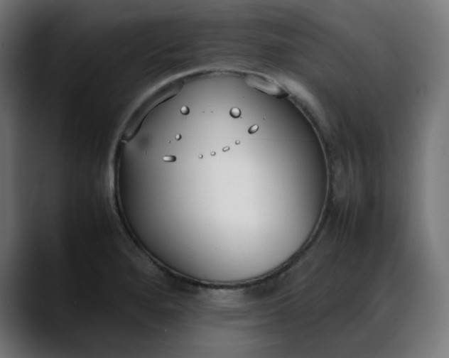 X0000088051280200705251315