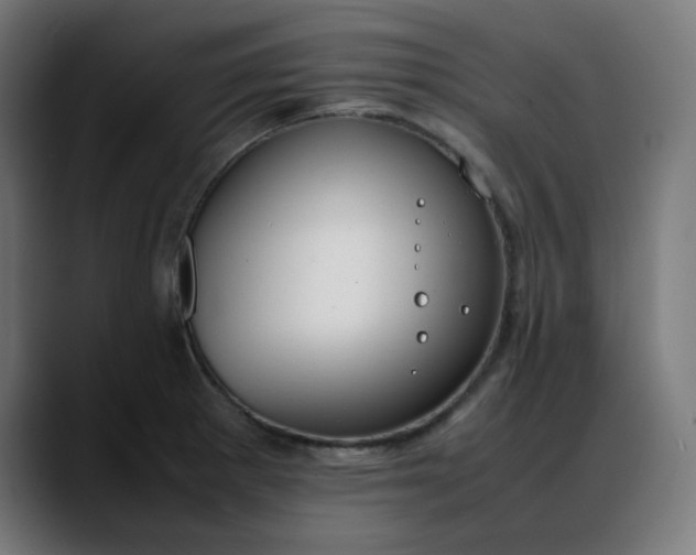 X0000088051281200705251315