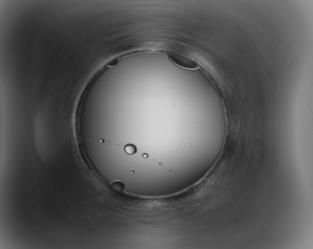 X0000088051283200705251314