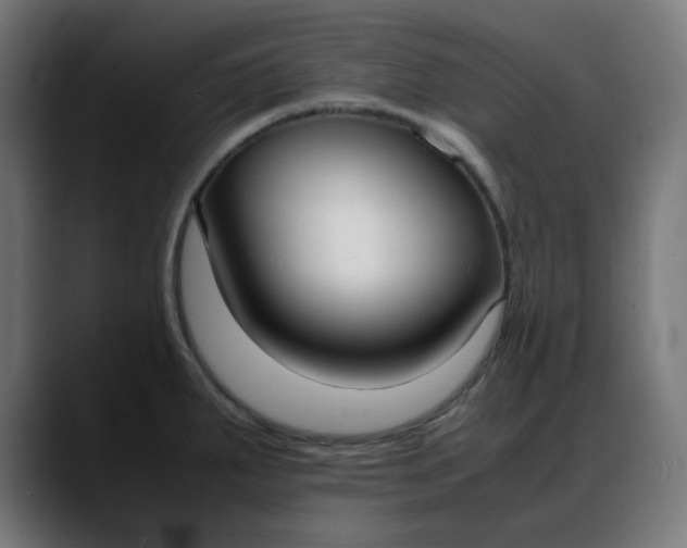 X0000088051287200705251314