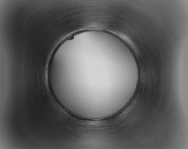 X0000088051288200705251314