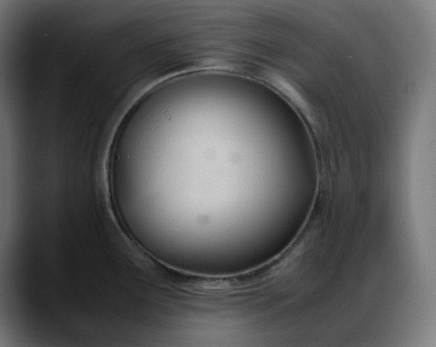 X0000088051291200705251314