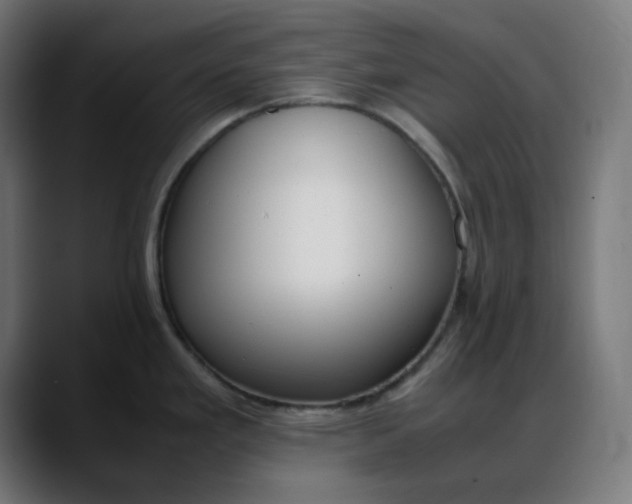 X0000088051293200705251314